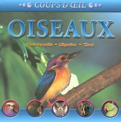 Stock image for Oiseaux for sale by Mli-Mlo et les Editions LCDA