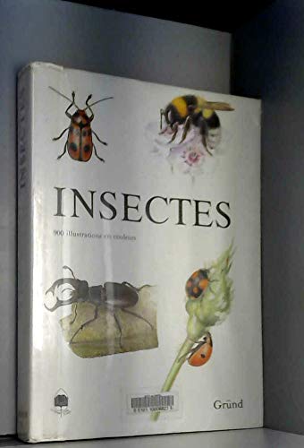 Beispielbild fr Insectes zum Verkauf von RECYCLIVRE