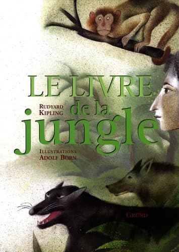 Imagen de archivo de Le Livre De La Jungle a la venta por RECYCLIVRE