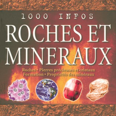 Beispielbild fr 1000 INFOS ROCHES & MINERAUX zum Verkauf von Ammareal