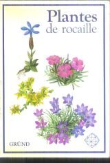 PLANTES DE ROCAILLE