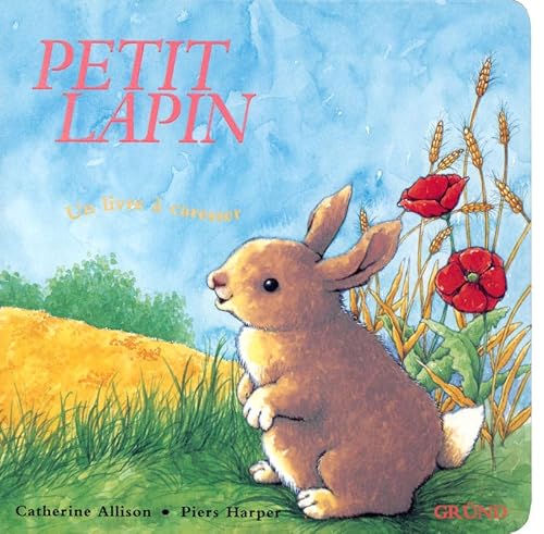 Beispielbild fr Petit Lapin zum Verkauf von medimops