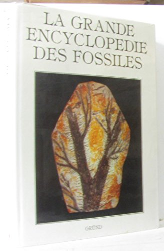 Beispielbild fr La Grande Encyclopdie Des Fossiles zum Verkauf von RECYCLIVRE