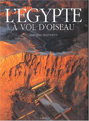 Stock image for L'Egypte  vol d'oiseau for sale by Ammareal