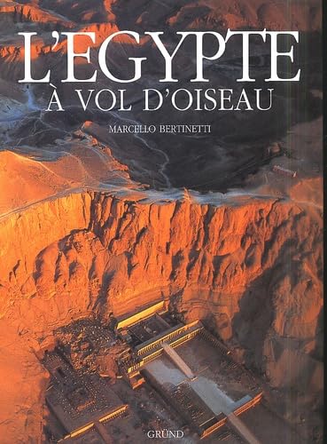 Stock image for L'Egypte  vol d'oiseau for sale by LeLivreVert