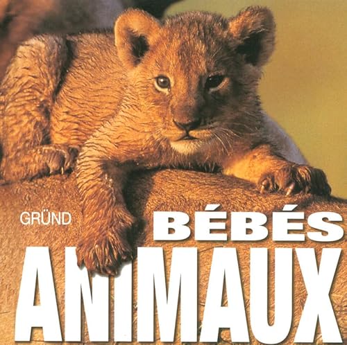 Beispielbild fr Bbs animaux zum Verkauf von Ammareal