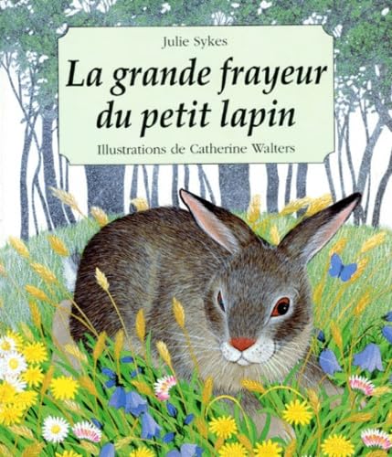 9782700048001: La grande frayeur du petit lapin