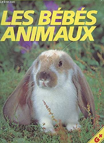 9782700064063: Les bebes animaux (G+)