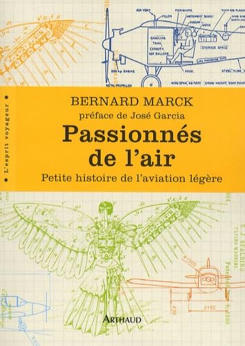 Stock image for Passionns de l'air : Petite histoire de l'aviation lgre for sale by medimops