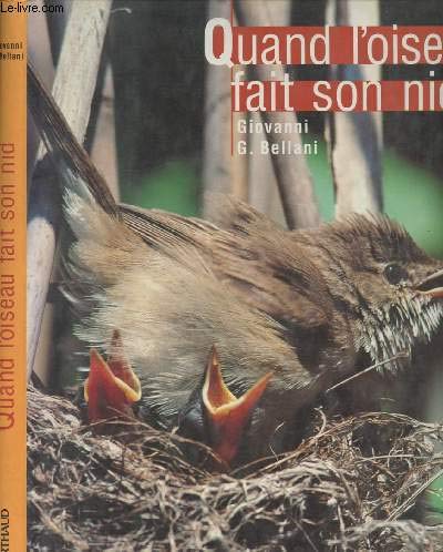 Imagen de archivo de Quand L'oiseau Fait Son Nid a la venta por RECYCLIVRE