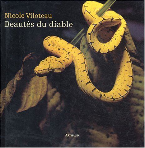Stock image for Beautés du diable for sale by medimops