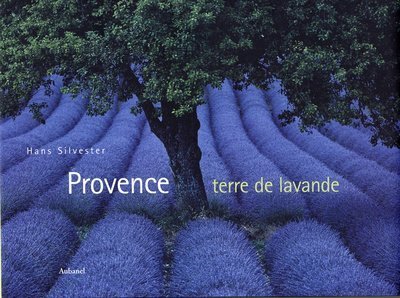 Stock image for Provence, terre de lavande for sale by Ammareal