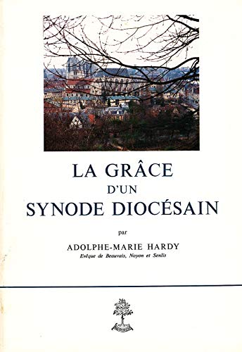 Imagen de archivo de La grce d'un synode diocsain a la venta por A TOUT LIVRE