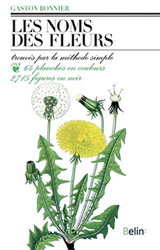 Fleurs de nos Jardin Illustration Coeur de Marie d'après Gaston Bonnier 