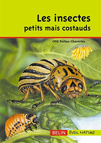 Beispielbild fr Les insectes petits mais costauds zum Verkauf von Ammareal