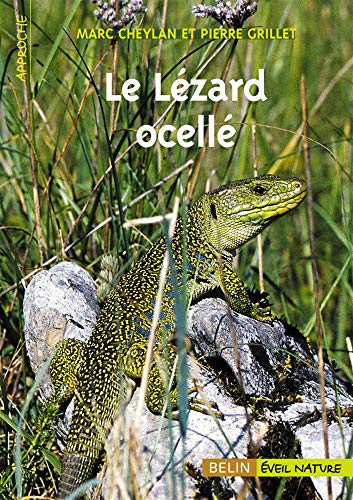 Stock image for Le Lzard ocell for sale by Ammareal