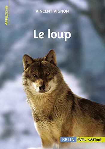 Imagen de archivo de Le loup a la venta por medimops