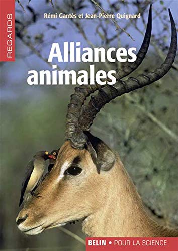 Beispielbild fr Alliances animales zum Verkauf von Ammareal