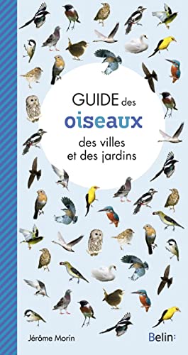 Beispielbild fr Guide des oiseaux des villes et des jardins zum Verkauf von Librairie Th  la page