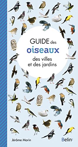 Stock image for Guide des oiseaux des villes et des jardins for sale by Librairie Th  la page