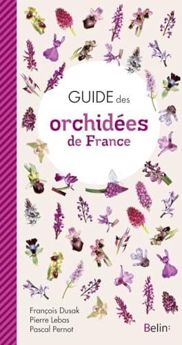 Stock image for Guide des orchides de France for sale by Ammareal