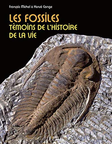 Beispielbild fr Les fossiles, tmoins de l'histoire de la vie zum Verkauf von Ammareal
