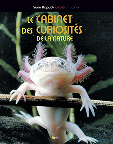 Beispielbild fr Le cabinet des curiosits de la nature Rigaud, Yann; Biosphoto et Calarnou, Yves zum Verkauf von BIBLIO-NET