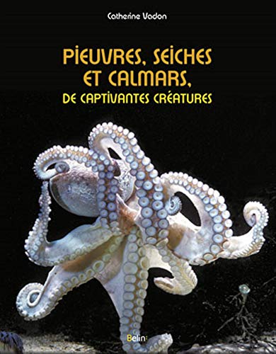 9782701159690: Pieuvres, seiches et calmars, de captivantes cratures