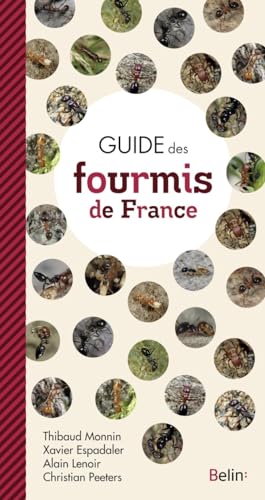 Beispielbild fr Guide Des Fourmis De France zum Verkauf von RECYCLIVRE