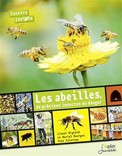 Stock image for Les abeilles - de prcieux Insectes en danger (Ned) for sale by Ammareal