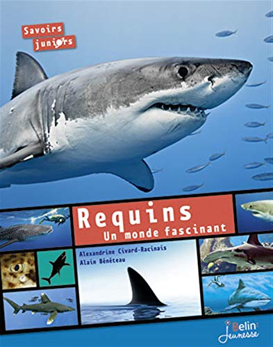 Beispielbild fr Requins: Un monde fascinant zum Verkauf von Ammareal