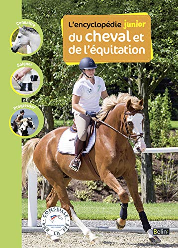Beispielbild fr L'encyclopedie junior du cheval et de l'equitation zum Verkauf von LiLi - La Libert des Livres