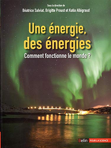 Beispielbild fr Une nergie, Des nergies : Comment Fonctionne Le Monde ? zum Verkauf von RECYCLIVRE