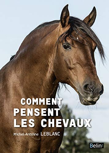 Stock image for Comment pensent les chevaux for sale by medimops
