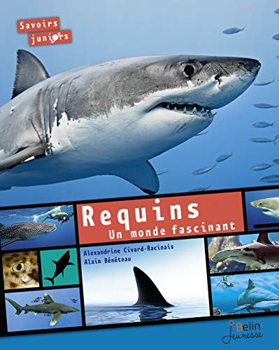 Beispielbild fr Requins. Un monde fascinant: Un monde fascinant zum Verkauf von ThriftBooks-Atlanta