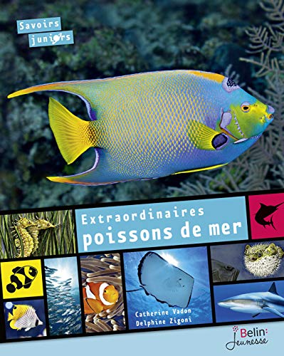 9782701199580: Extraordinaires poissons de mer