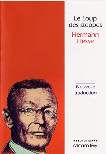 9782702135013: Le Loup des steppes: Nouvelle traduction (Prennes)
