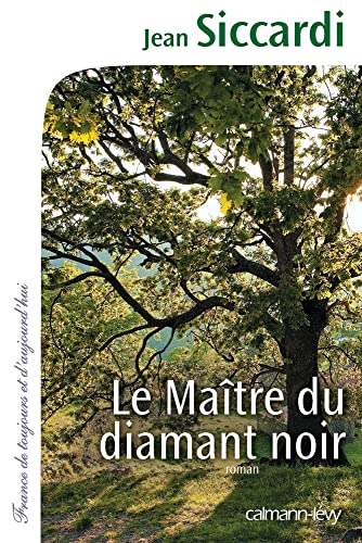 Stock image for Le Matre du diamant noir for sale by Ammareal