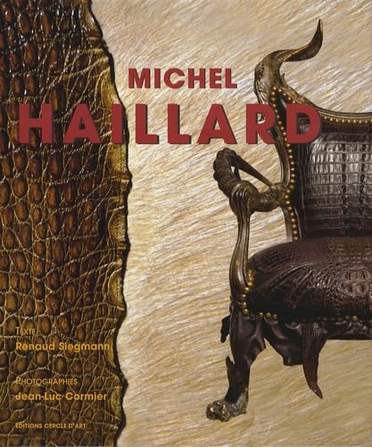 Imagen de archivo de Michel Haillard a la venta por LiLi - La Libert des Livres