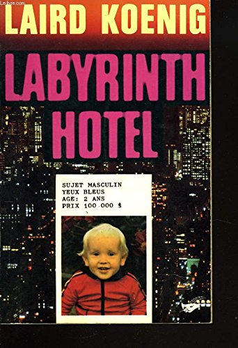 Beispielbild fr labyrinth hotel zum Verkauf von Librairie Th  la page