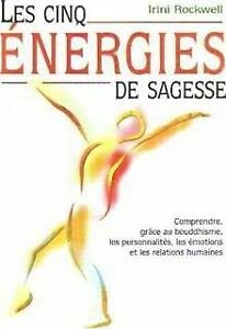 9782702889053: Les cinq nergies de sagesse : Comprendre, grce au bouddhisme, les personnalits, les motions et les relations humaines