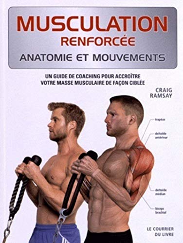 Beispielbild fr Musculation renforce : Anatomie et mouvements zum Verkauf von medimops