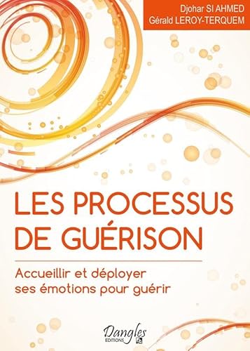 Beispielbild fr Les processus de gurison - Accueillir et dployer ses motions pour gurir zum Verkauf von medimops