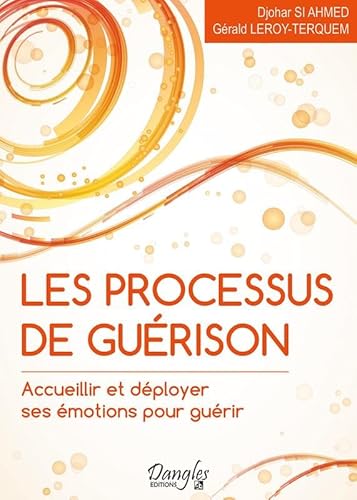 Stock image for Les processus de gurison - Accueillir et dployer ses motions pour gurir for sale by medimops