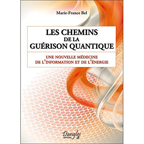 Stock image for Les chemins de la gurison quantique - Une nouvelle mdecine de l'information et de l'nergie for sale by Gallix