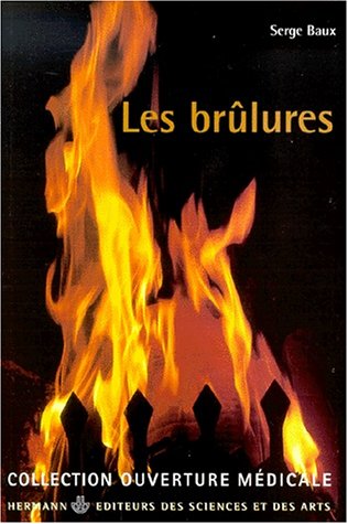 Stock image for Les Brlures for sale by Ammareal
