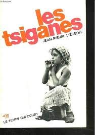 9782707113894: Tsiganes