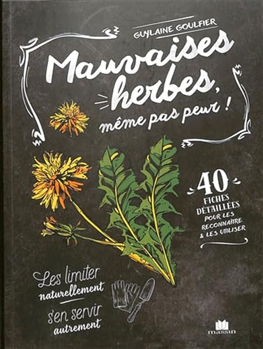 Stock image for Mauvaises herbes, mme pas peur !: 40 fiches dtailles pour les reconnatre et les utiliser for sale by Gallix