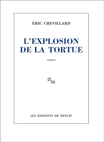 Stock image for L'explosion de la tortue for sale by Ammareal