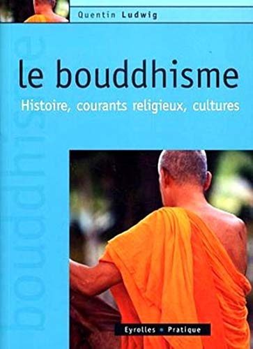 9782708135499: Le bouddhisme: Histoire, courants religieux, cultures